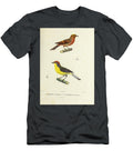 Brown Capped Redstart 1835 U1 Historic Illustrations T-Shirt