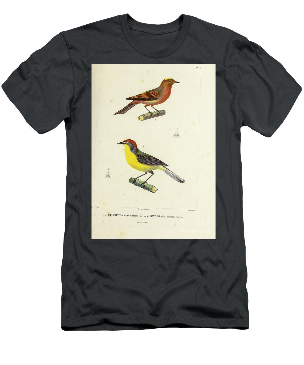 Brown Capped Redstart 1835 U1 Historic Illustrations T-Shirt