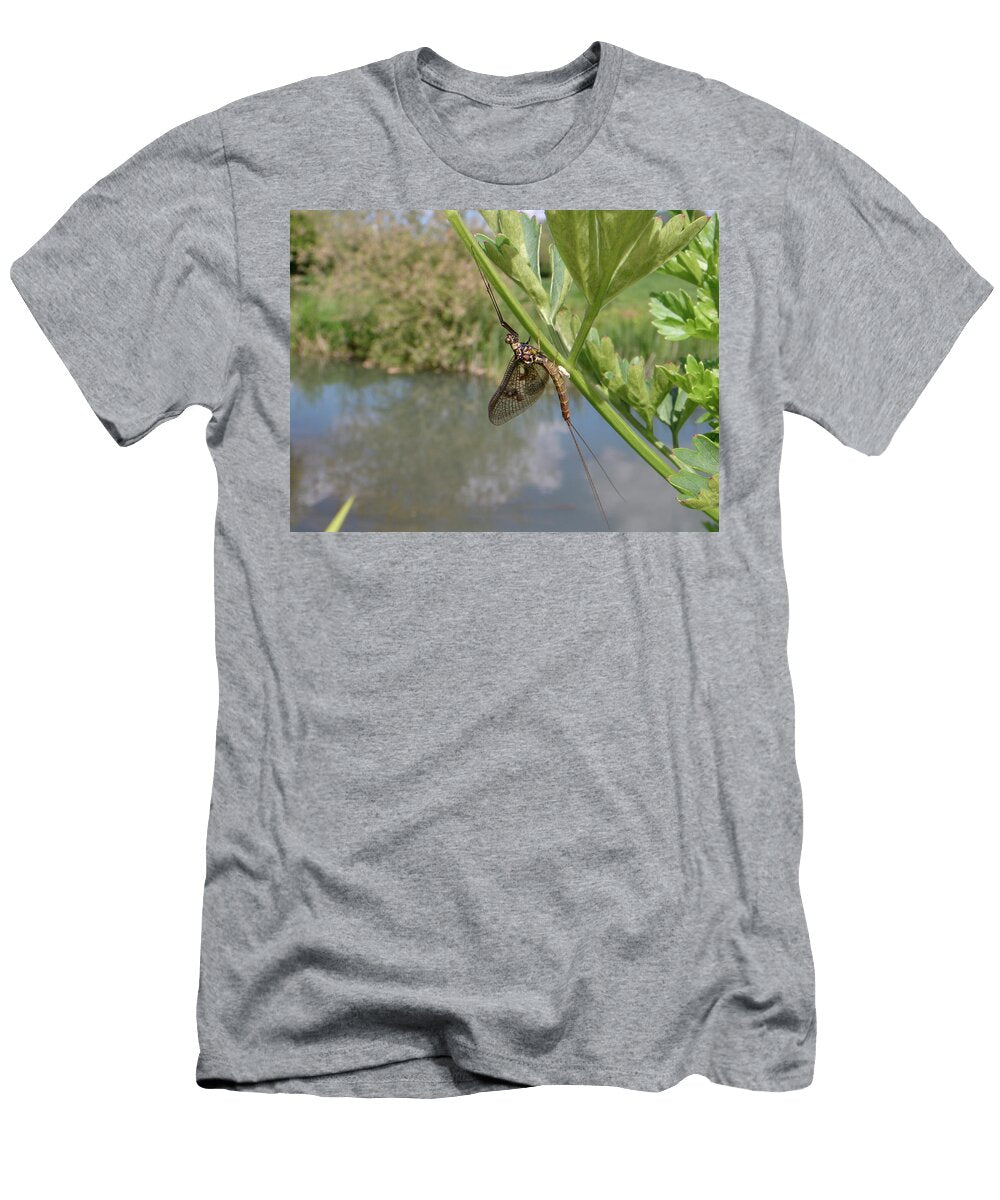 Brown Mayfly Newly Emerged Resting on Riverside Nick Upton Natureplcom T-Shirt