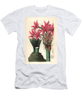 Brunsvigia Grandiflora Banks Amaryllis Amaryllis Banksiana European School T-Shirt