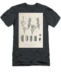 Bryozoa B1 Historic Illustrations T-Shirt