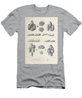 Bryozoa B2 Historic Illustrations T-Shirt
