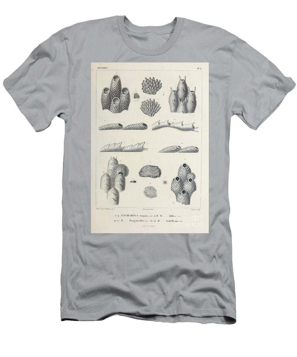 Bryozoa B2 Historic Illustrations T-Shirt
