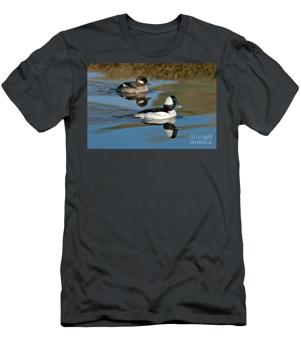 Bufflehead Male Female Anthony Mercieca T-Shirt