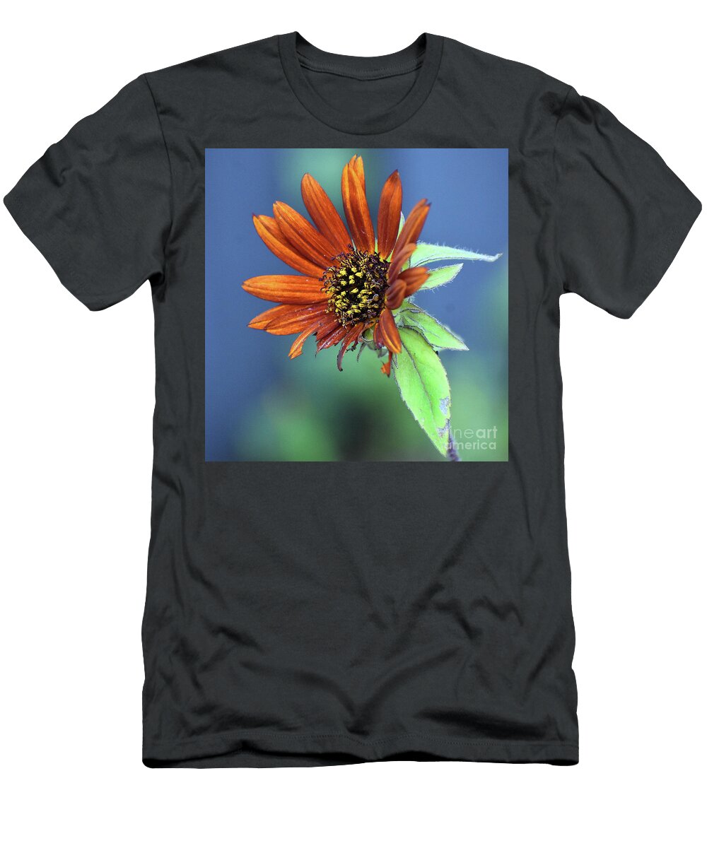 Burpees Red Sunflower 8x8 Skip Willits T-Shirt