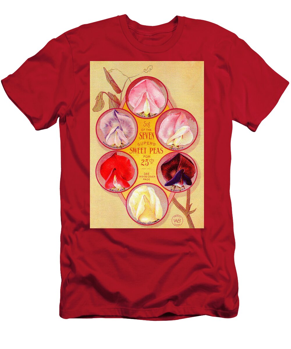 Burpees Superb Sweet Peas Antique Catalog Page Mark Lambert T-Shirt