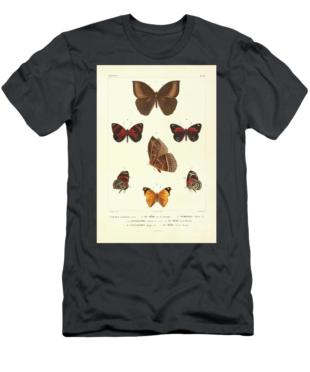Butterflies of South America T1 Historic Illustrations T-Shirt