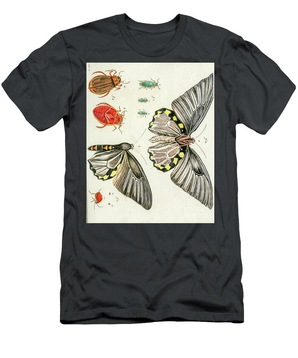 Butterfly Illustration By Jacquin 1781 O1 Historic Illustrations T-Shirt