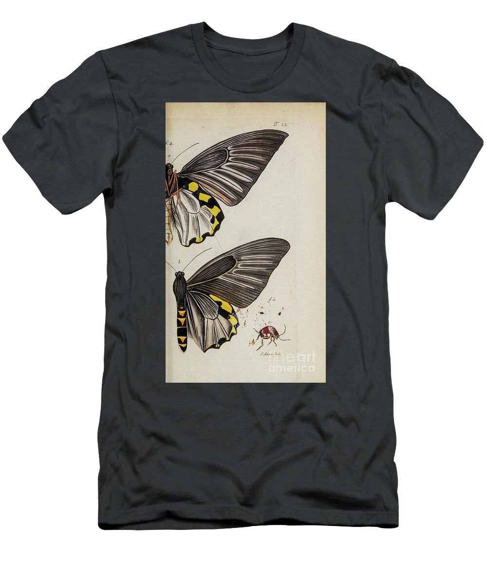 Butterfly Illustration By Jacquin 1781 O2 Historic Illustrations T-Shirt