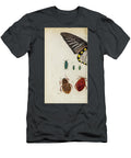 Butterfly Illustration By Jacquin 1781 O3 Historic Illustrations T-Shirt