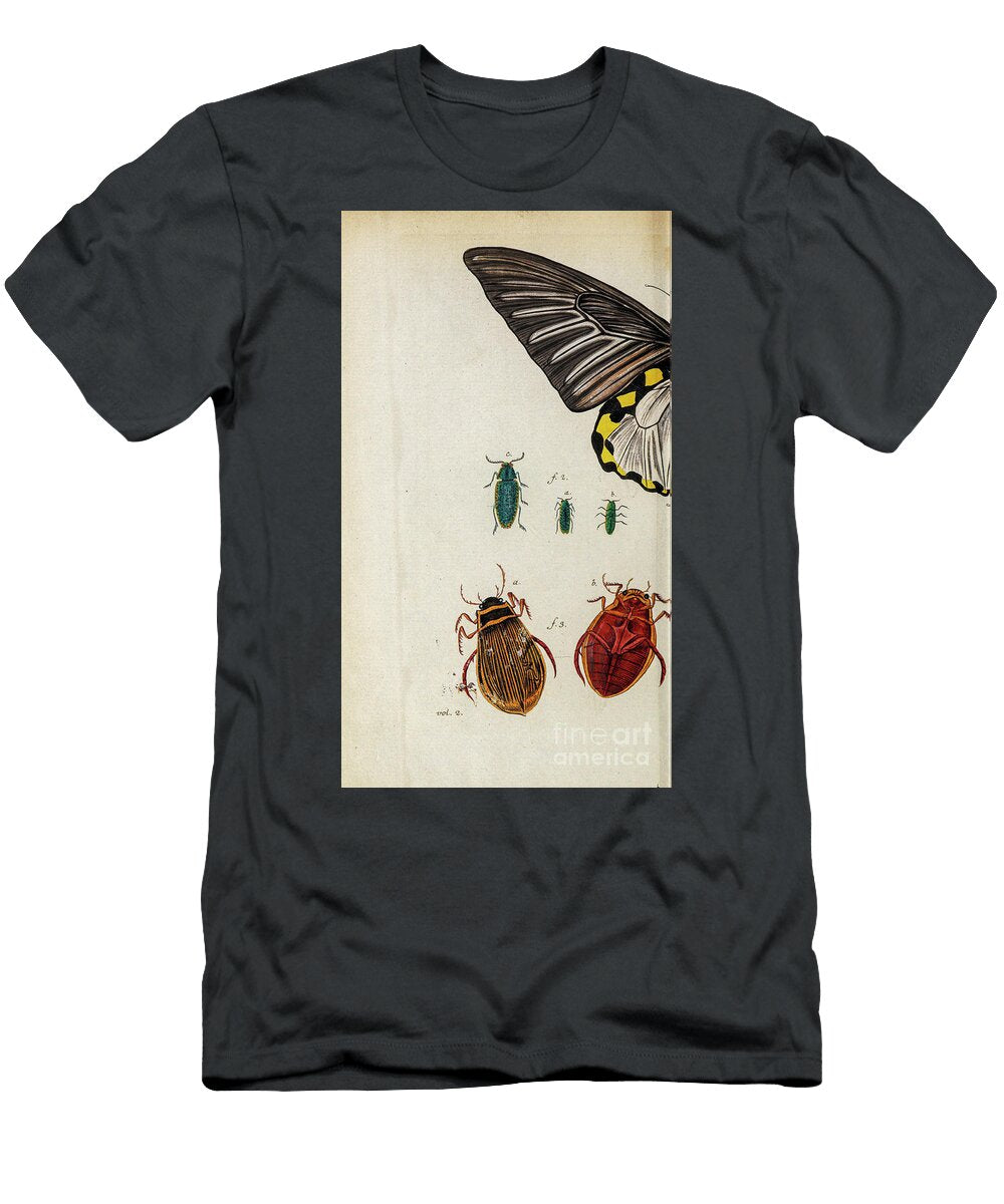 Butterfly Illustration By Jacquin 1781 O3 Historic Illustrations T-Shirt