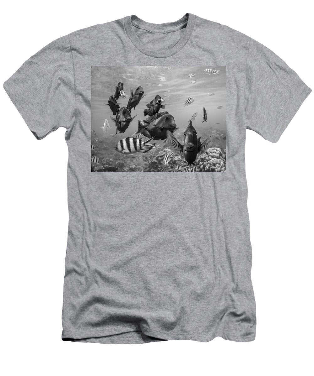Butterflyfish and Damselfish Tim Fitzharris T-Shirt