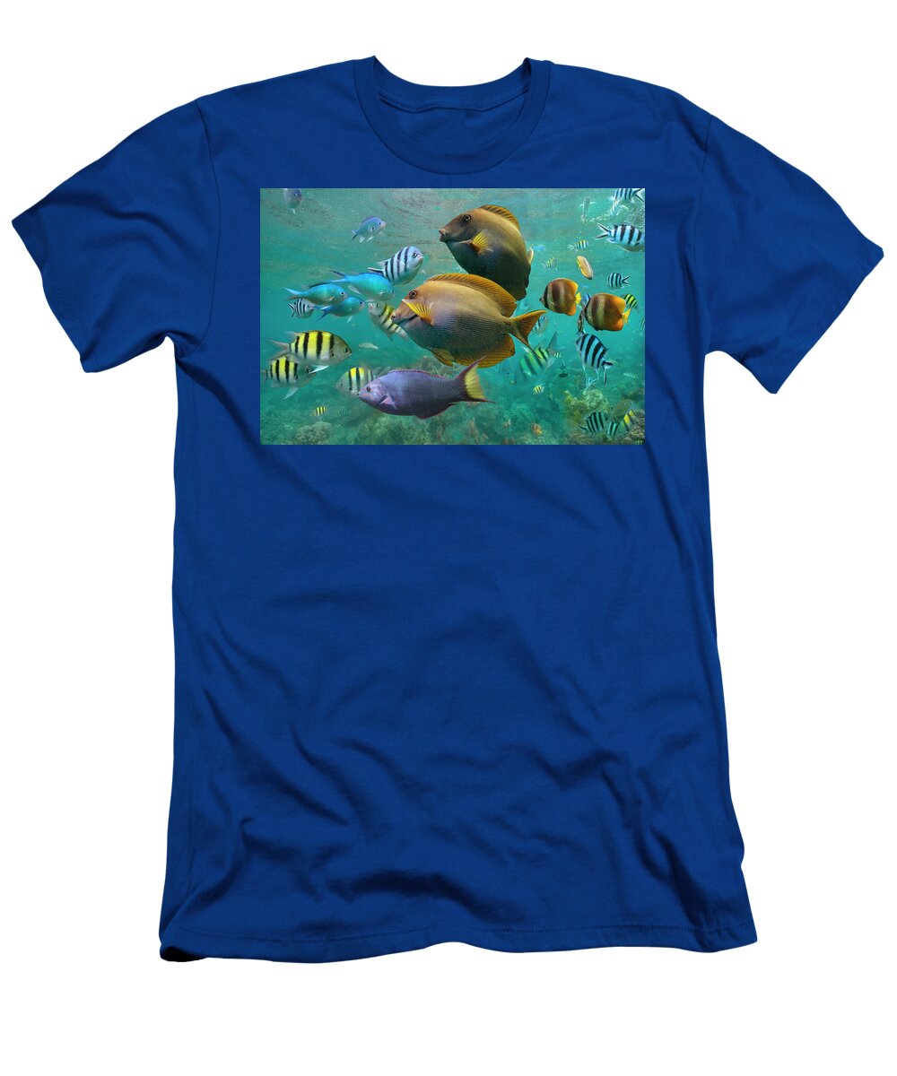 Butterflyfish Damselfish Sergeant Ray Finned Fish and Wrasse Philippines Tim Fitzharris T-Shirt