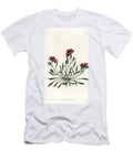 Calandrinia Variete Native of America Sydenham Teast Edwards T-Shirt