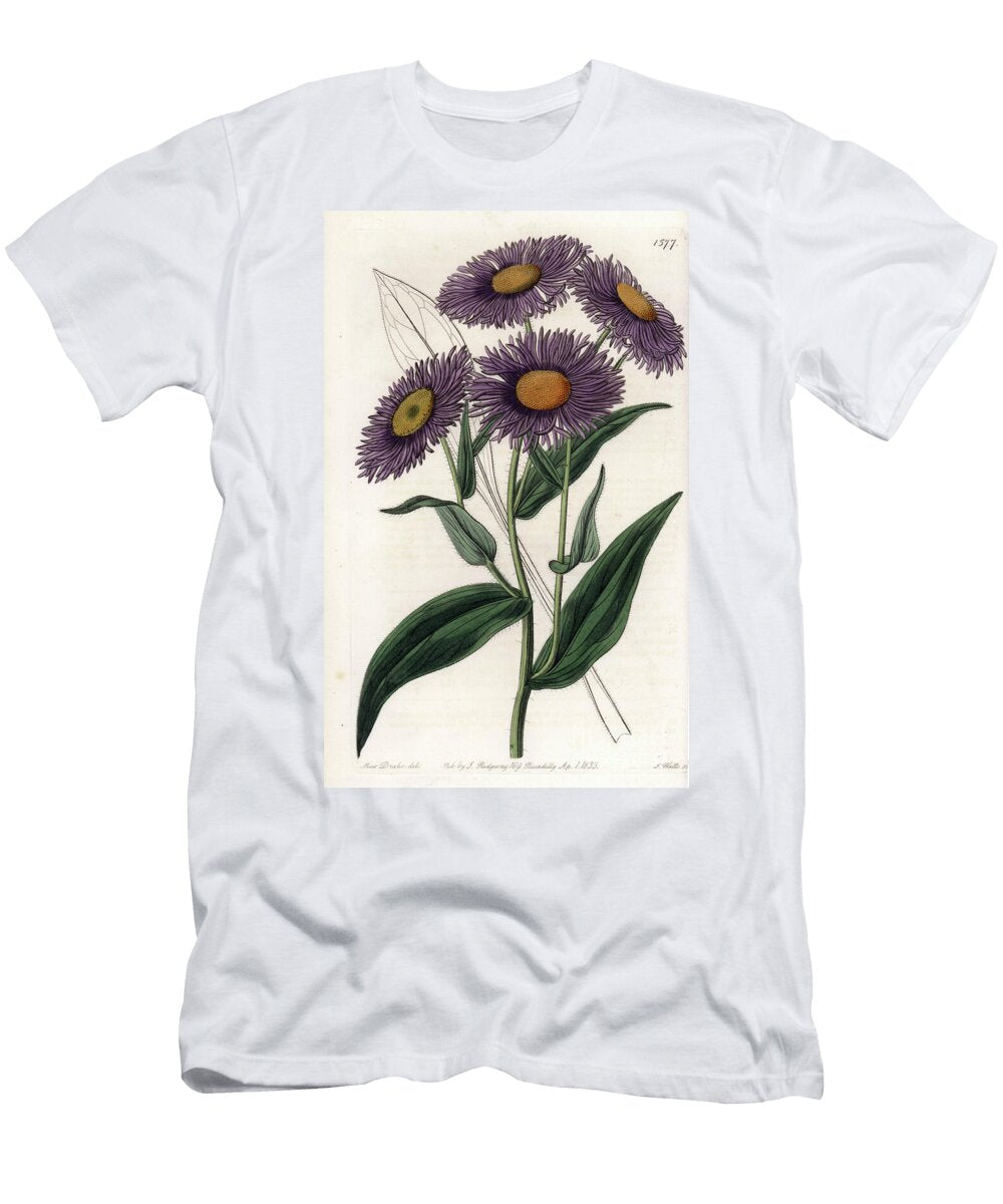 California Erigeron Sydenham Teast Edwards T-Shirt