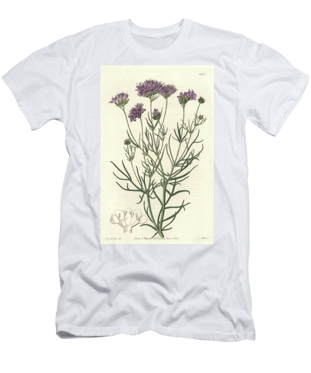 California Gilia S Sydenham Teast Edwards T-Shirt