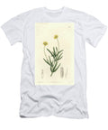 California Platystemon S Sydenham Teast Edwards T-Shirt