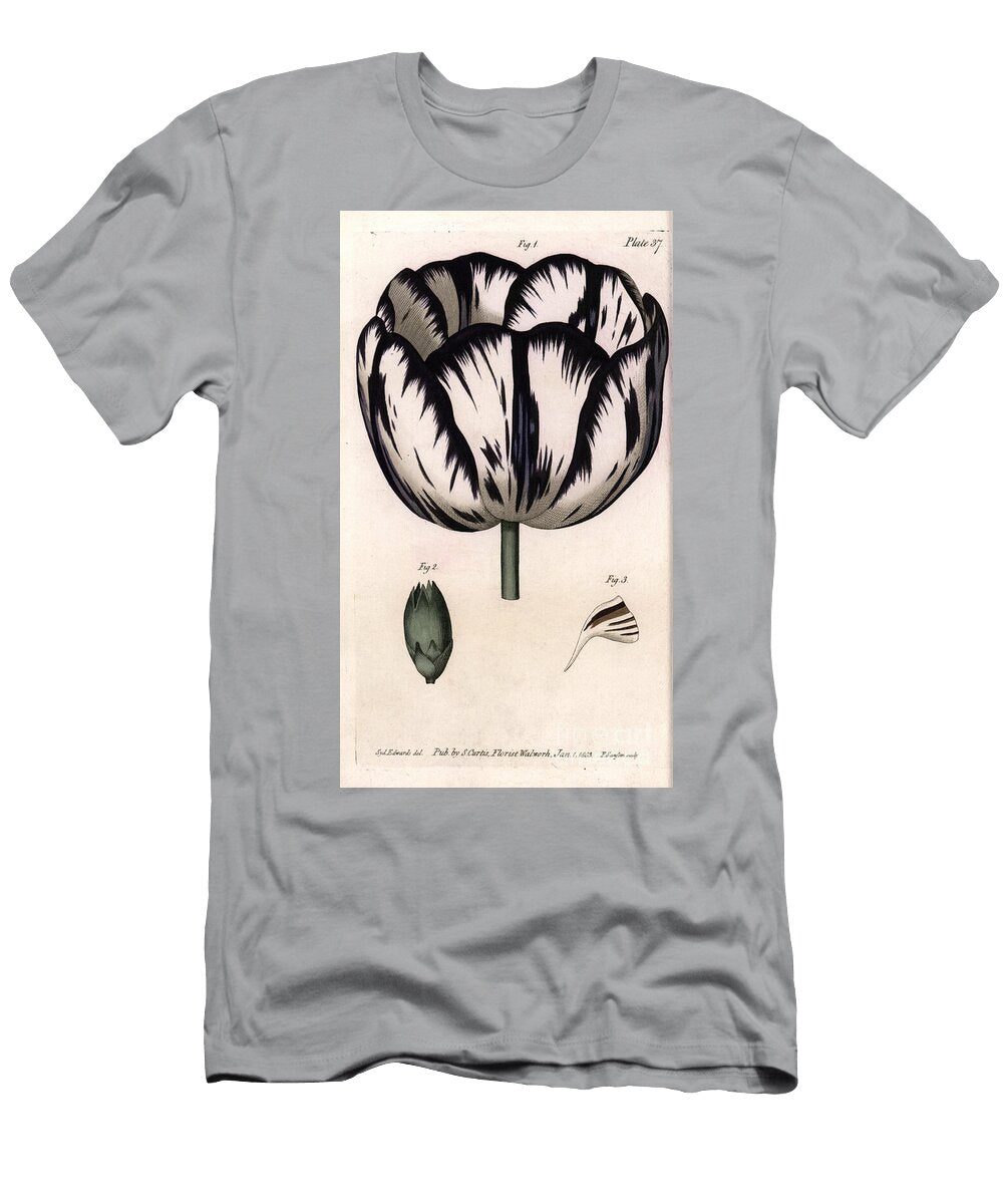 Calisse of Tulip and Carnation Giroflee or Carnation Florists Sydenham Teast Edwards T-Shirt