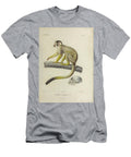 Calitrix Entomophagus 1847 U1 Historic Illustrations T-Shirt