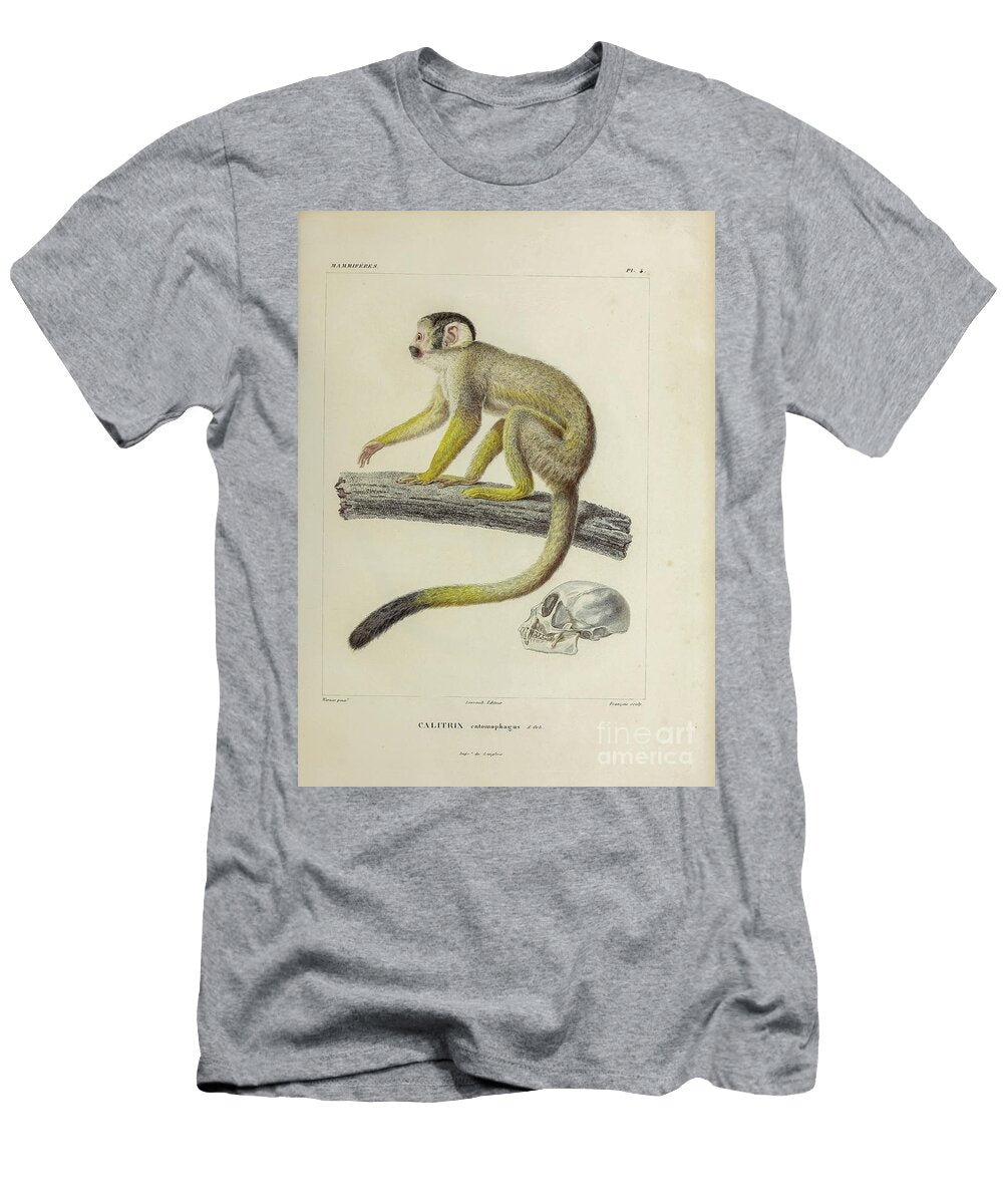 Calitrix Entomophagus 1847 U1 Historic Illustrations T-Shirt