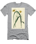 Calochorte Mariposa or Cyclobothre with Pale Yellow Flowers Native to Mexico Sydenham Teast Edwards T-Shirt