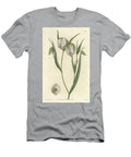 Calochorte Mariposa or White Flowered Cyclobothre Native to California S Sydenham Teast Edwards T-Shirt