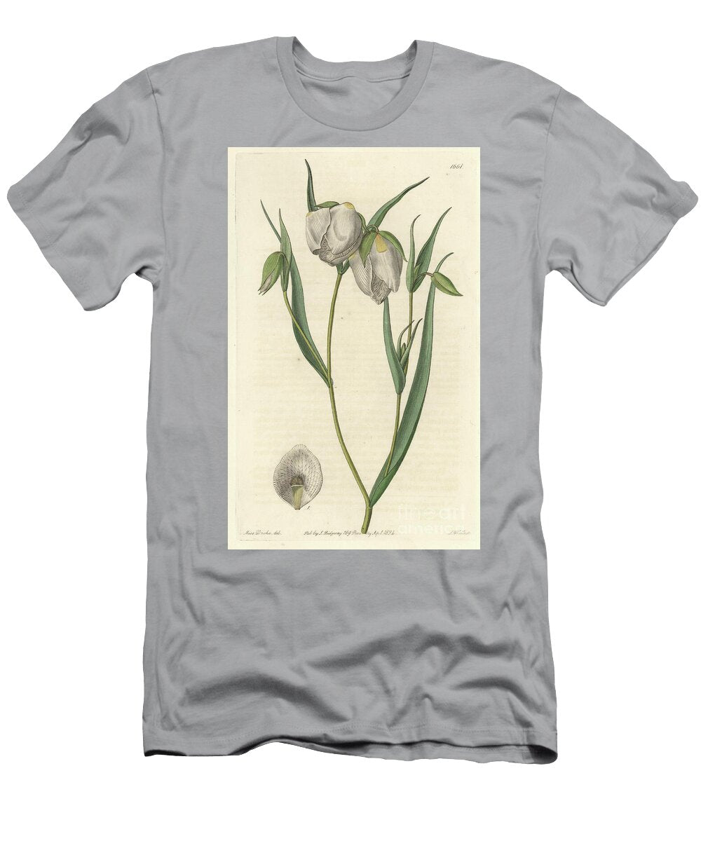 Calochorte Mariposa or White Flowered Cyclobothre Native to California S Sydenham Teast Edwards T-Shirt