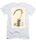 Camphor Myrtle or Camphorwort Babingtonia Babingtonia Camphorosmae European School T-Shirt