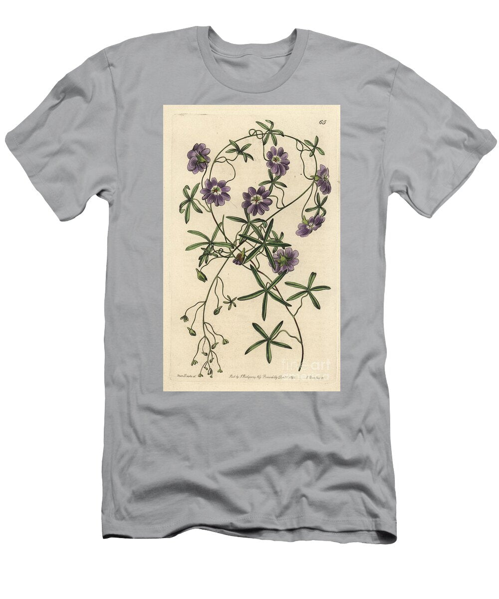 Capuchin Variete Blue Nasturtium Tropaeolum Azureum European School T-Shirt