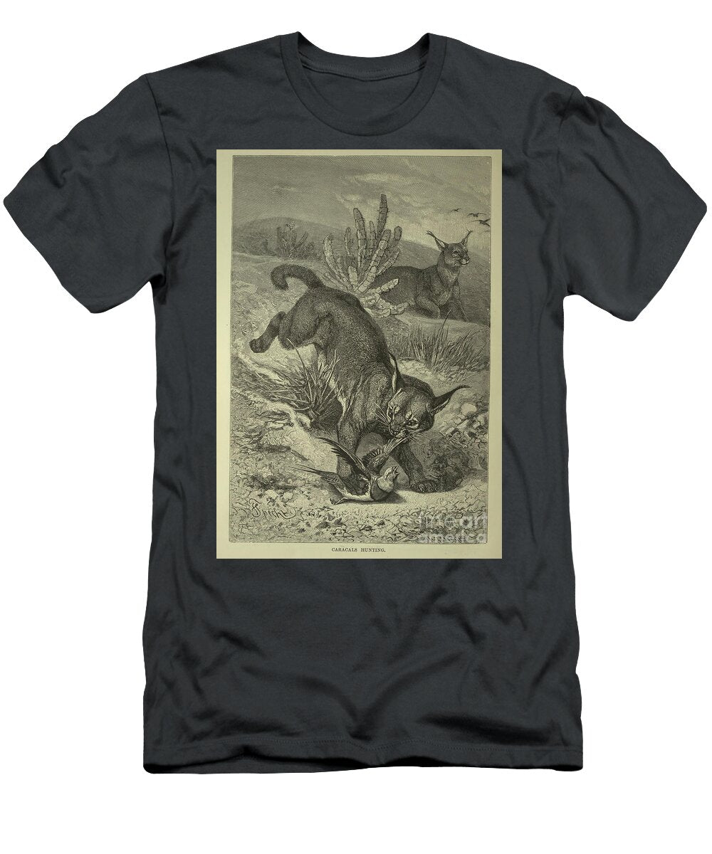 Caracals Hunting L5 Historic Illustrations T-Shirt