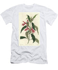 Carmantine Native of Brazil Sydenham Teast Edwards T-Shirt