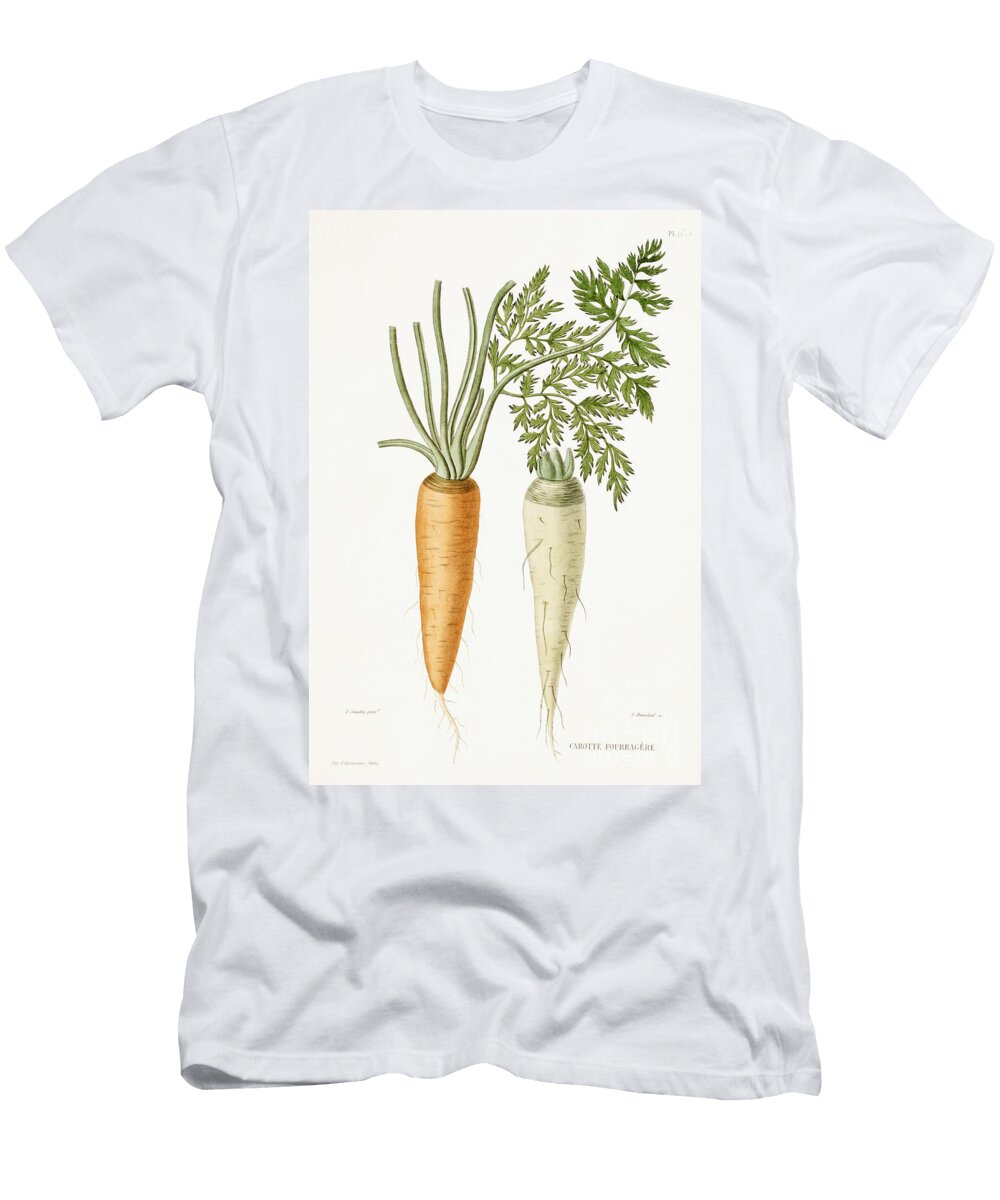 Carott 1857 P Naudin T-Shirt