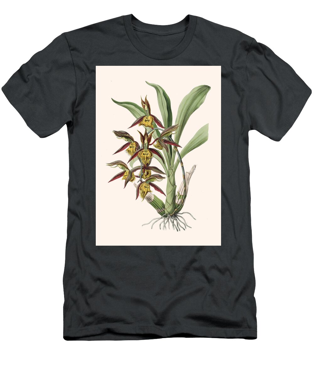 Catasetum Saccatum Sarah Anne Drake T-Shirt