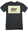Cattle and Dairy Farming Q2 Historic Illustrations T-Shirt