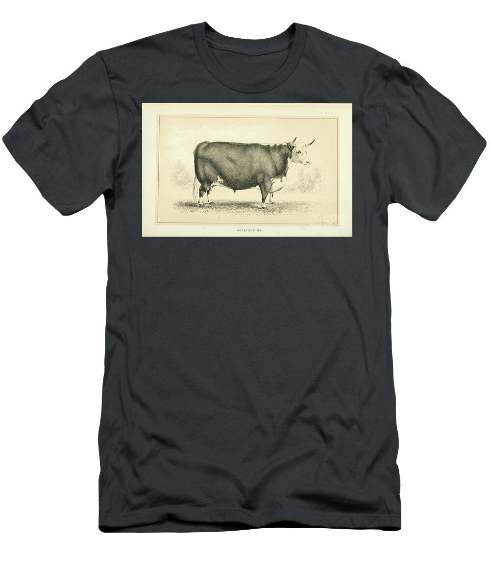 Cattle and Dairy Farming Q2 Historic Illustrations T-Shirt