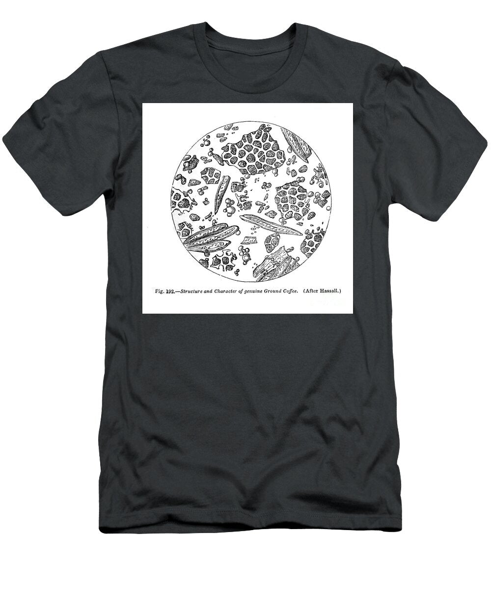 Cells Under Microscope K1 Historic Illustrations T-Shirt