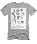 Cells Under Microscope K10 Historic Illustrations T-Shirt