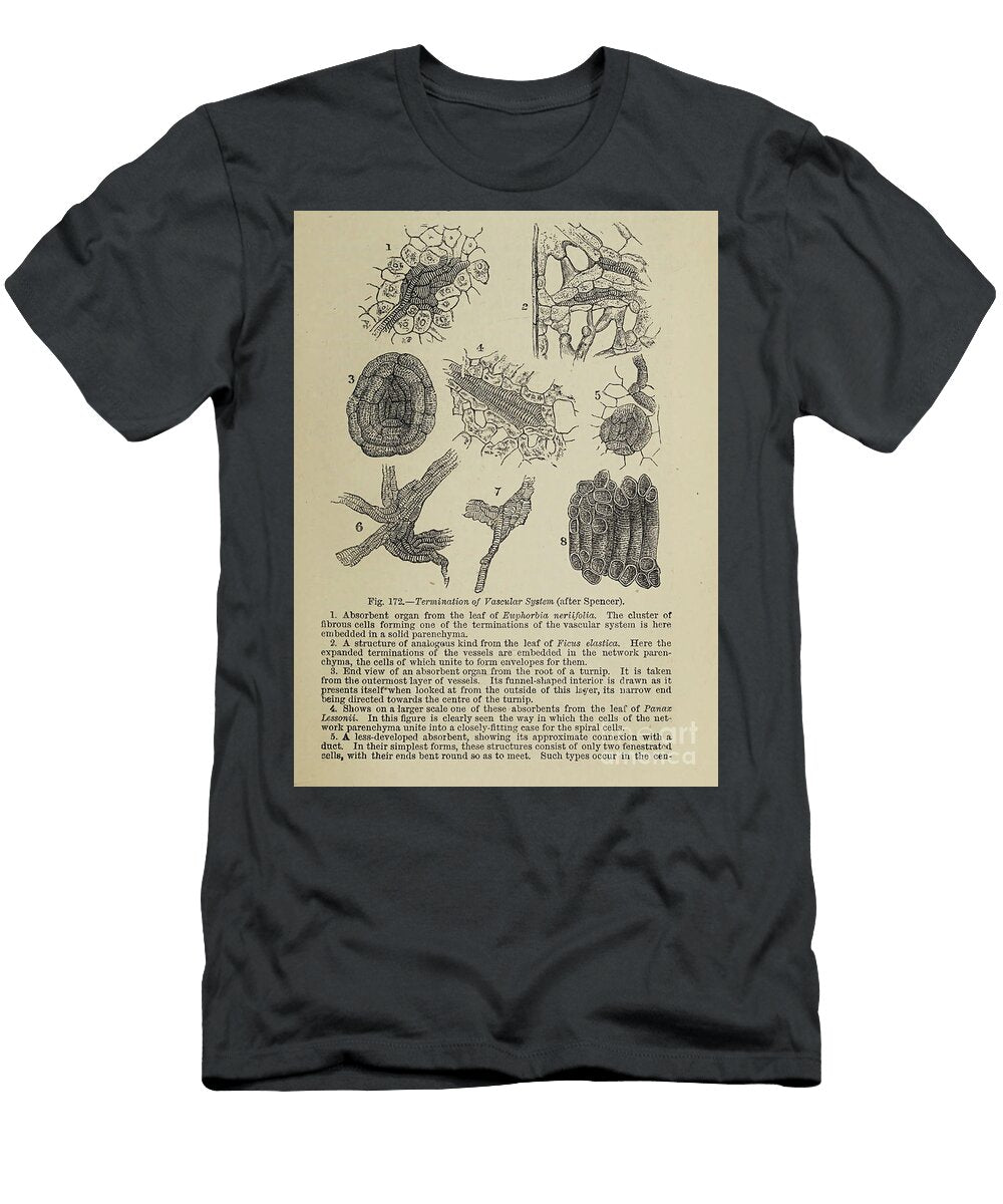 Cells Under Microscope K2 Historic Illustrations T-Shirt