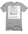 Cells Under Microscope K3 Historic Illustrations T-Shirt