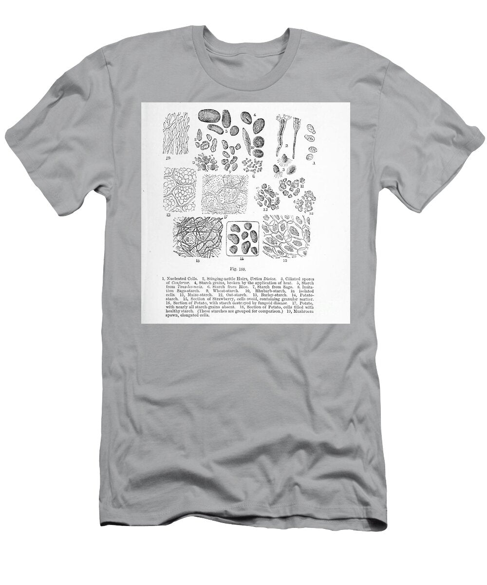 Cells Under Microscope K3 Historic Illustrations T-Shirt