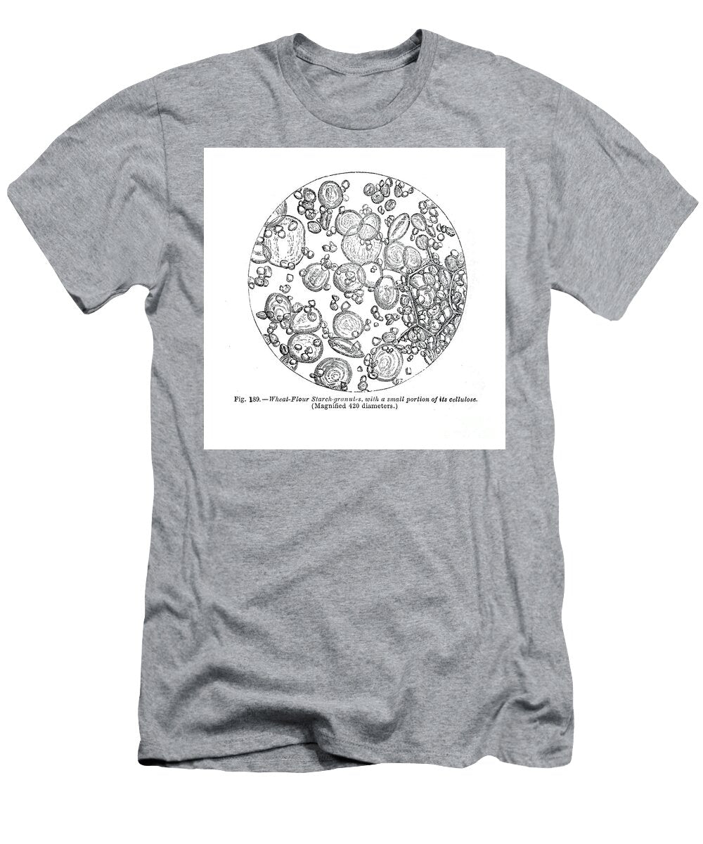 Cells Under Microscope K4 Historic Illustrations T-Shirt