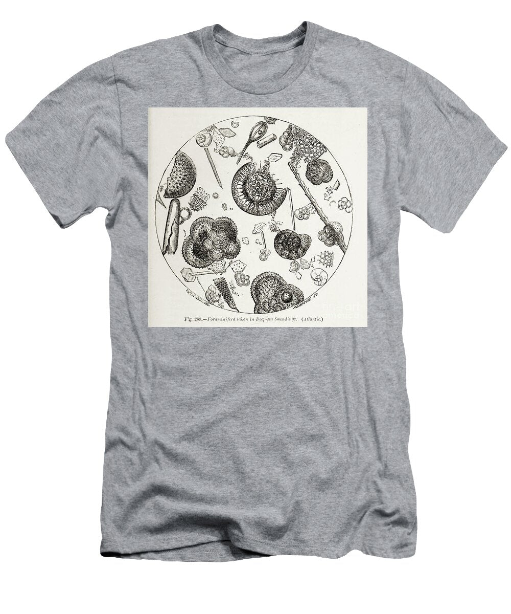 Cells Under Microscope K7 Historic Illustrations T-Shirt