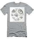 Cells Under Microscope K8 Historic Illustrations T-Shirt
