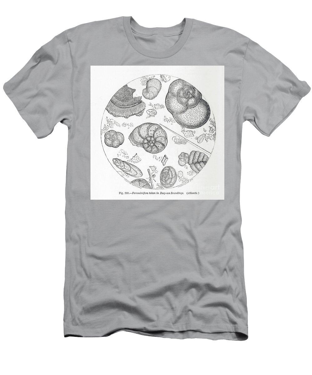 Cells Under Microscope K8 Historic Illustrations T-Shirt