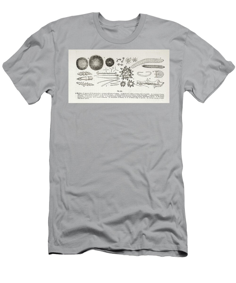 Cells Under Microscope K9 Historic Illustrations T-Shirt