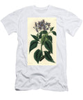 Chilean Potato Tree or Crimped Leaved Solanum Sydenham Teast Edwards T-Shirt