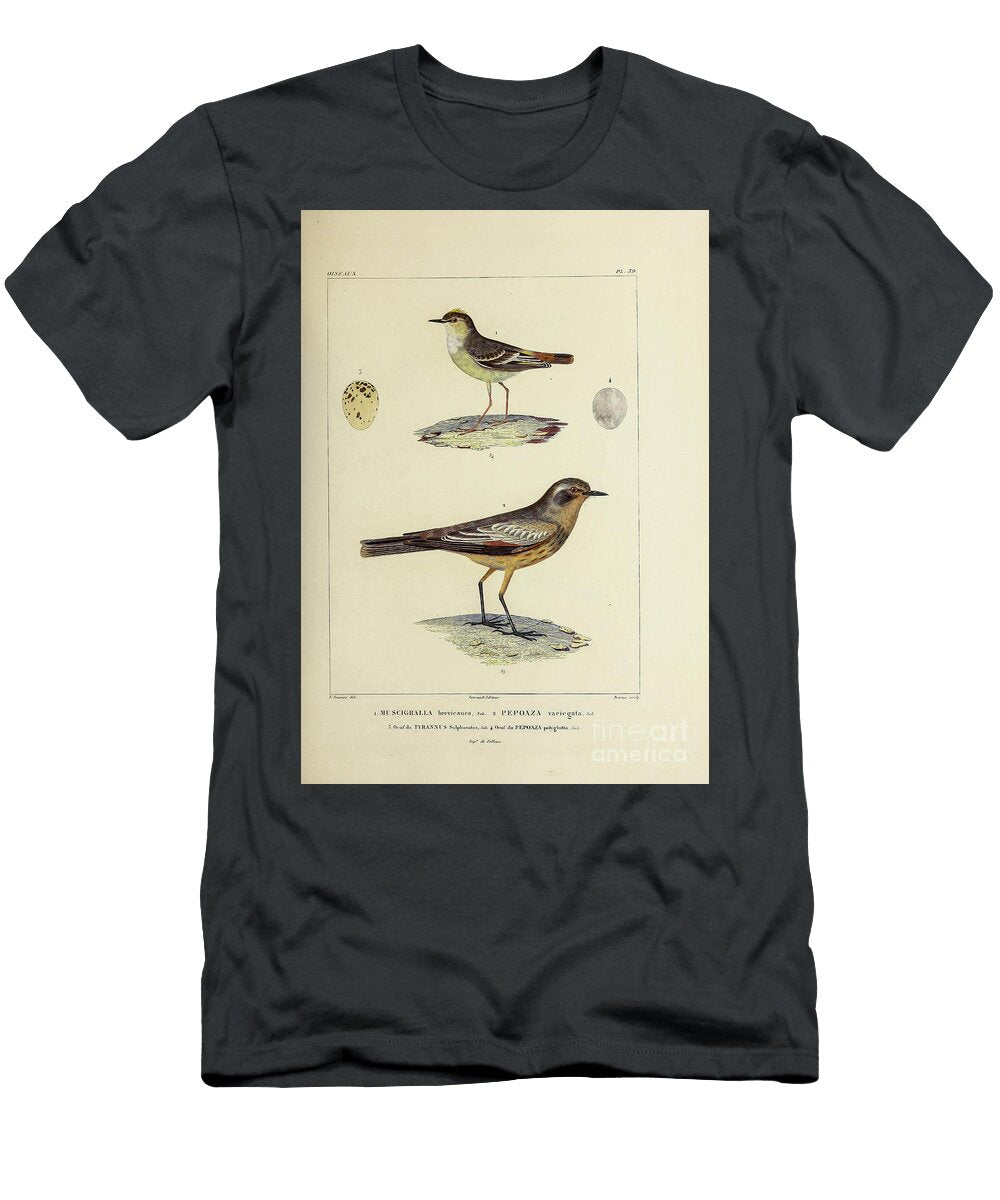 Chocolate Vented Tyrant U1 Historic Illustrations T-Shirt