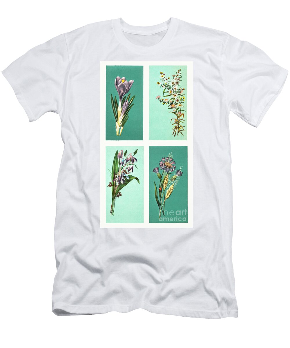 Christmas Card Depicting Flowers 1865 1899 By L Prang Co L Prang T-Shirt