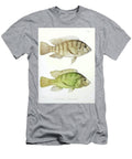 Chromis Fish G1 Historic Illustrations T-Shirt