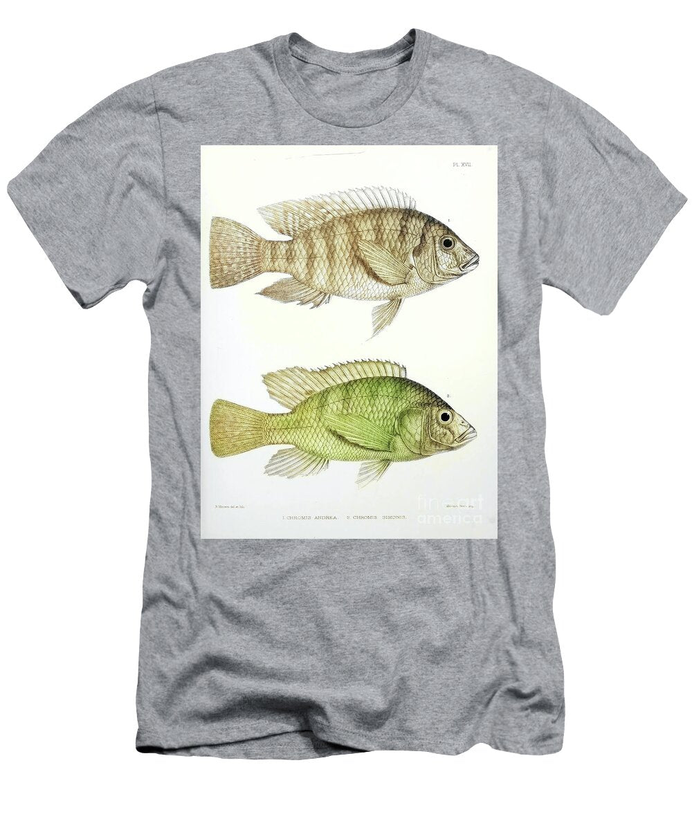 Chromis Fish G1 Historic Illustrations T-Shirt